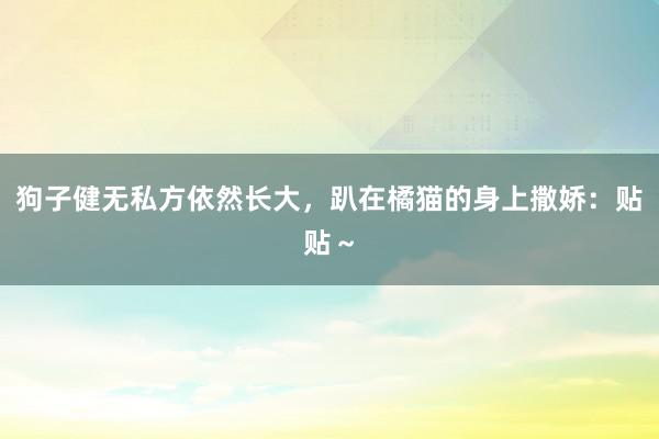 狗子健无私方依然长大，趴在橘猫的身上撒娇：贴贴～